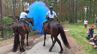 policie koně2
